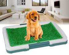Tapete de Baño para Cachorros